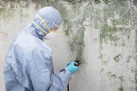 Best Commercial Mold Inspection in Azusa, CA